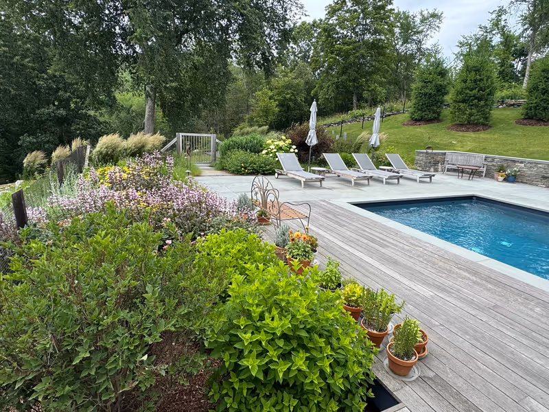 Flowering perennial garden beside a finished pool terrace.