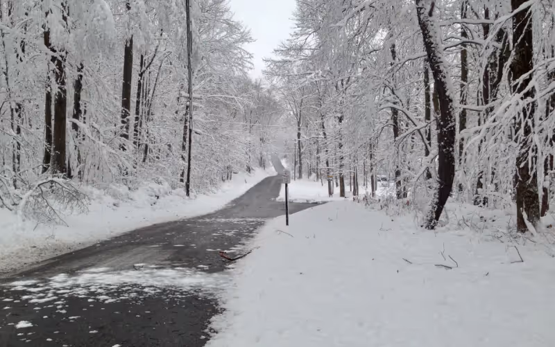 Cleared winter road with snowbanks and snow-covered trees.