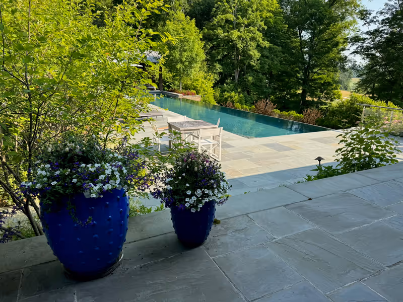 Blue containers with flowering plants on a stone terrace beside a pool.