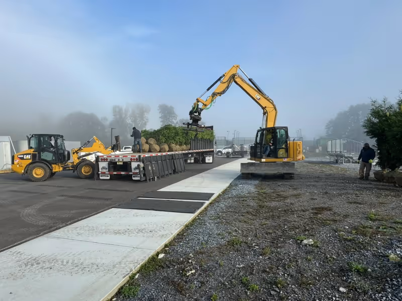 Excavator and loader unloading large balled trees from a delivery truck.
