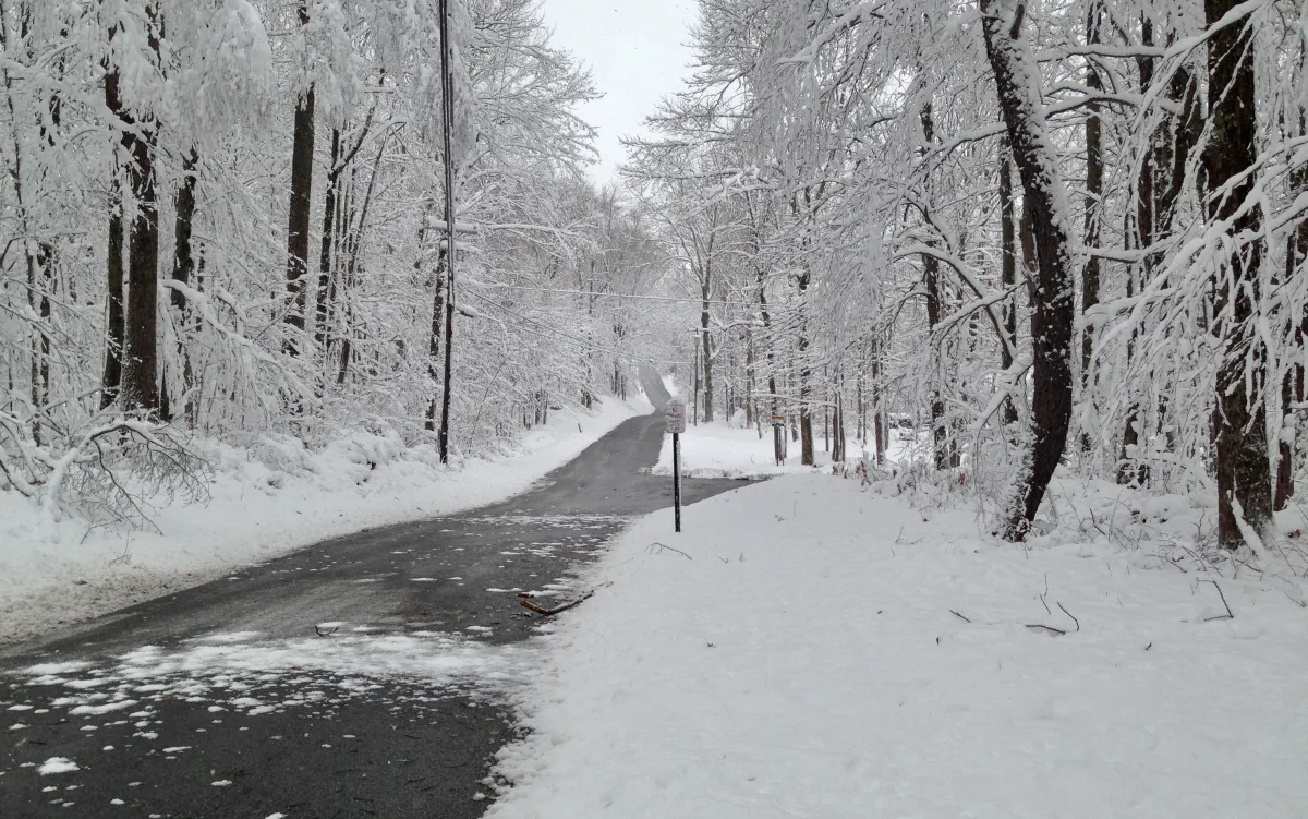 Cleared winter road with snowbanks and snow-covered trees.