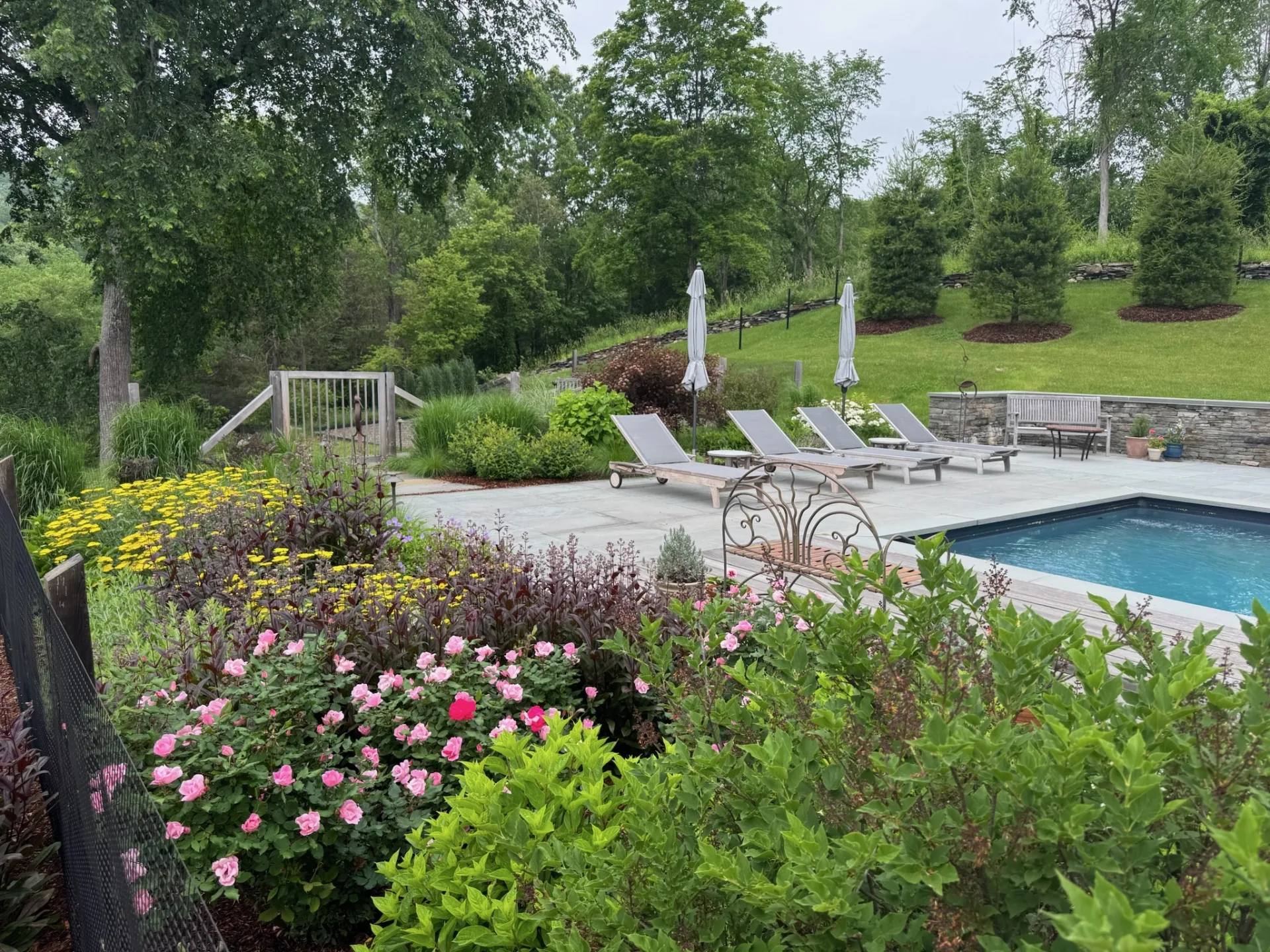 Pool terrace, stone wall, and layered garden plantings maintained by Kindred.